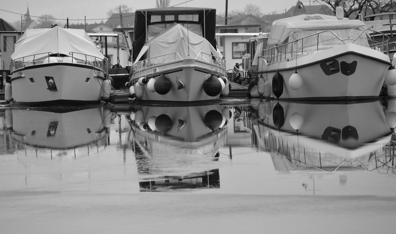 Reflets sur l'eau, noir et blanc